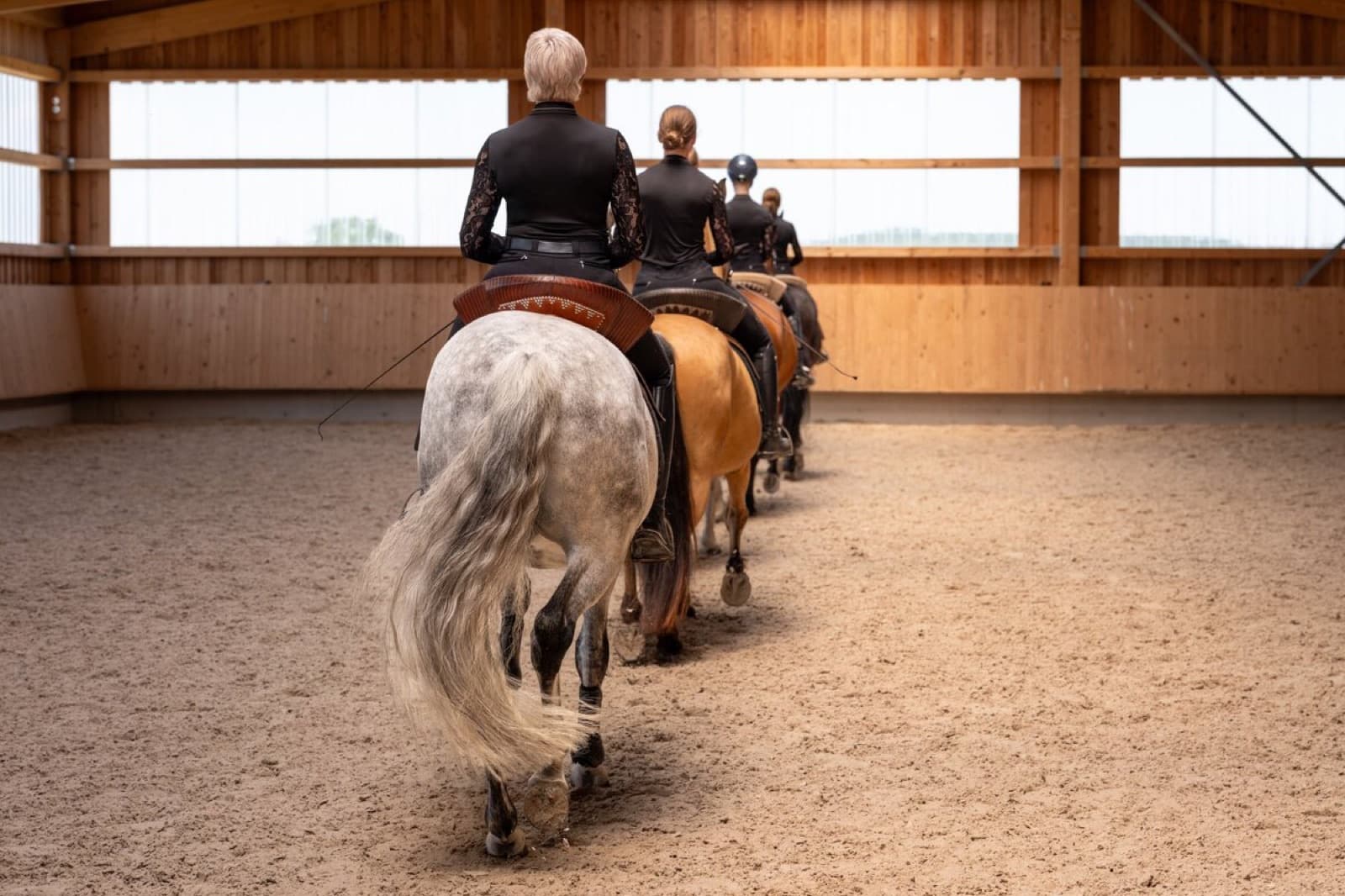 Vier Reiterinnen reiten in der Halle hintereinander auf dem Hufschlag von der Kamera weg