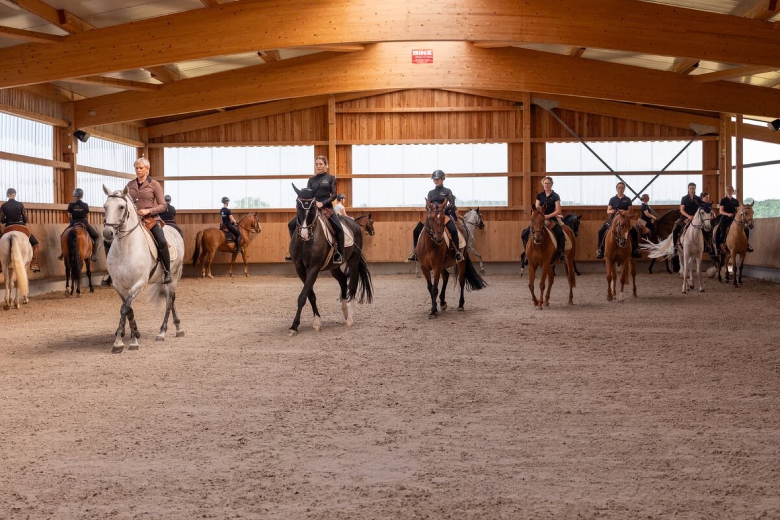 Eine große Gruppe Reiterinnen und Reiter arbeitet gemeinsam in der Reithalle der Rudat Stables