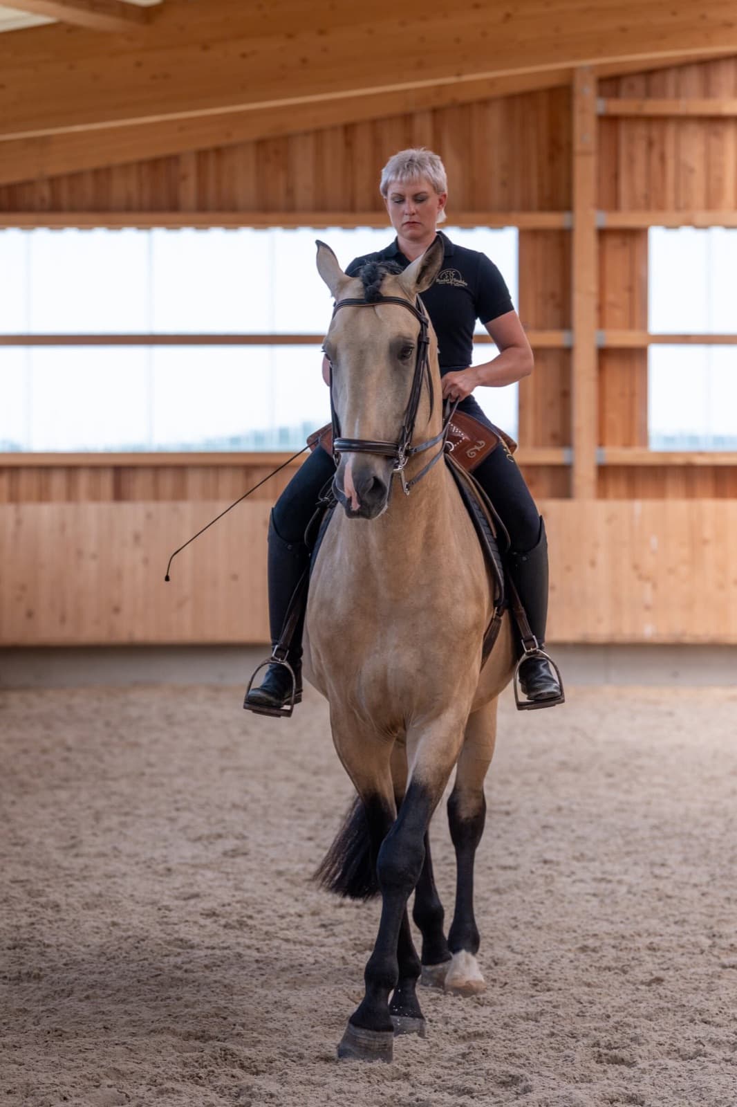 Eine Reiterin im Rudat-Stables-Shirt reitet einen Falben von vorn auf die Kamera zu, in der lichten Holzreithalle
